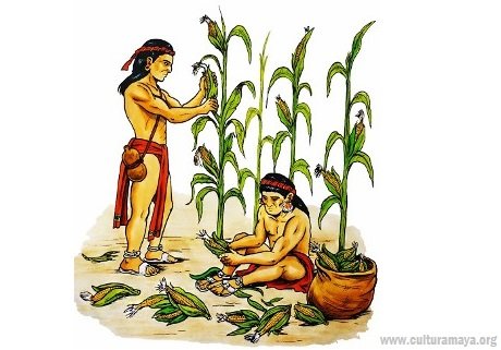 agricultura_preclasica